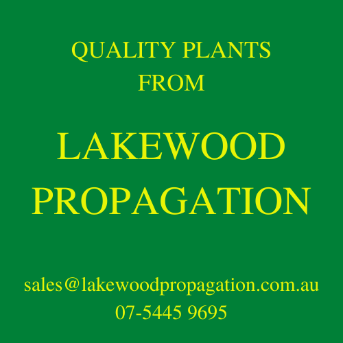 Lakewood Propagation